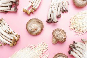 Flat lay of edible mushrooms on pink background.