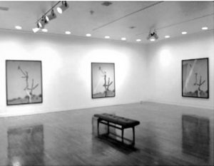 Black-and-white image of an observation bench in the middle of a museum gallery.